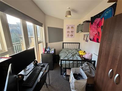 Picture 8